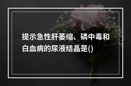 提示急性肝萎缩、磷中毒和白血病的尿液结晶是()