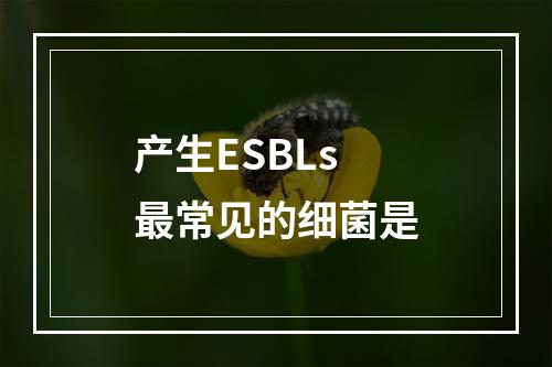 产生ESBLs最常见的细菌是