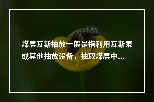 煤层瓦斯抽放一般是指利用瓦斯泵或其他抽放设备，抽取煤层中高浓