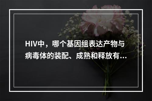 HIV中，哪个基因组表达产物与病毒体的装配、成熟和释放有关(