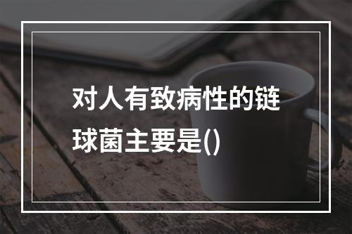 对人有致病性的链球菌主要是()