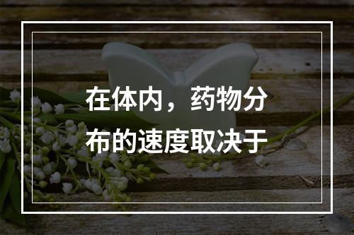 在体内，药物分布的速度取决于