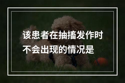 该患者在抽搐发作时不会出现的情况是