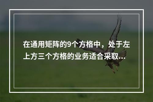 在通用矩阵的9个方格中，处于左上方三个方格的业务适合采取的战