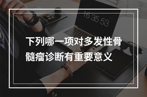 下列哪一项对多发性骨髓瘤诊断有重要意义