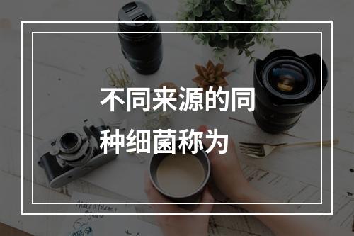 不同来源的同种细菌称为