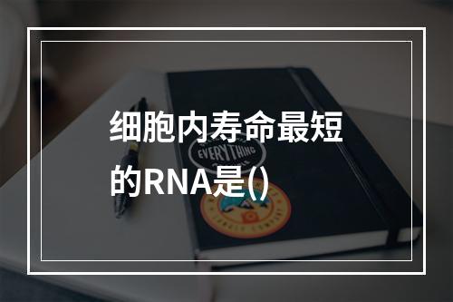 细胞内寿命最短的RNA是()