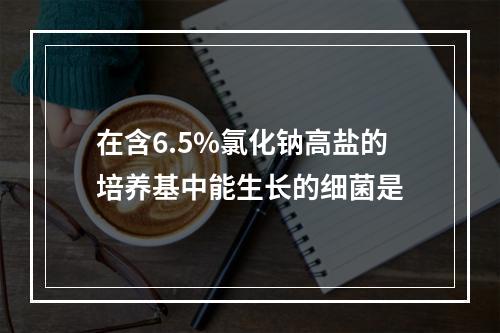 在含6.5%氯化钠高盐的培养基中能生长的细菌是