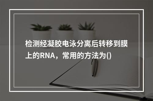 检测经凝胶电泳分离后转移到膜上的RNA，常用的方法为()