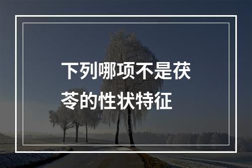 下列哪项不是茯苓的性状特征