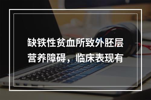 缺铁性贫血所致外胚层营养障碍，临床表现有