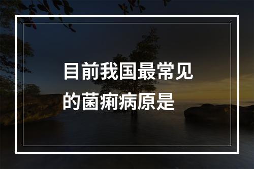 目前我国最常见的菌痢病原是