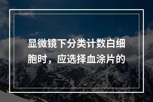 显微镜下分类计数白细胞时，应选择血涂片的