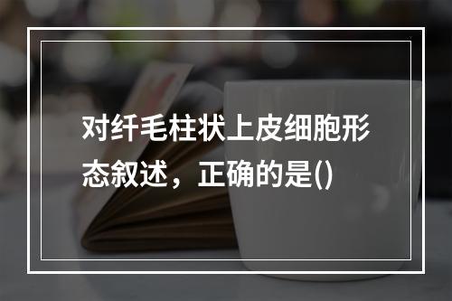 对纤毛柱状上皮细胞形态叙述，正确的是()