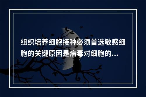 组织培养细胞接种必须首选敏感细胞的关键原因是病毒对细胞的感染