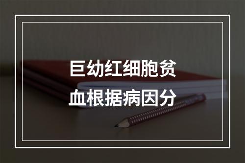 巨幼红细胞贫血根据病因分