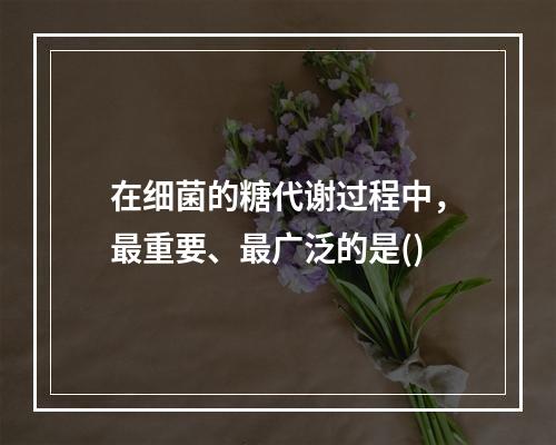 在细菌的糖代谢过程中，最重要、最广泛的是()