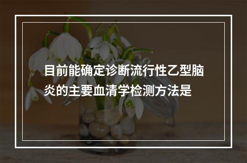 目前能确定诊断流行性乙型脑炎的主要血清学检测方法是