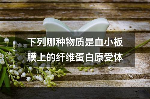 下列哪种物质是血小板膜上的纤维蛋白原受体