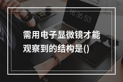 需用电子显微镜才能观察到的结构是()