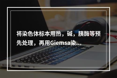 将染色体标本用热，碱，胰酶等预先处理，再用Giemsa染料染