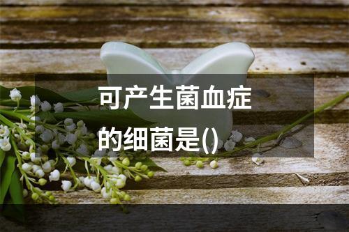 可产生菌血症的细菌是()