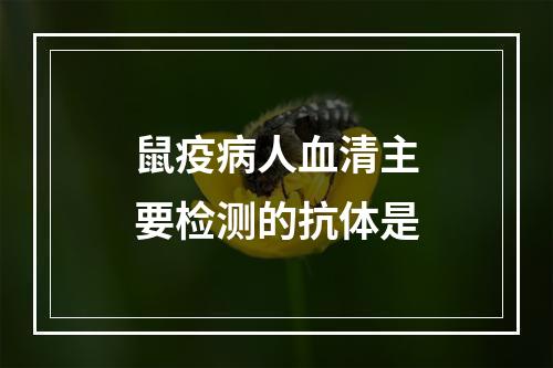 鼠疫病人血清主要检测的抗体是