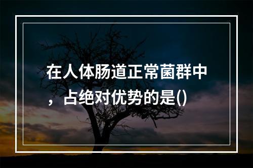 在人体肠道正常菌群中，占绝对优势的是()