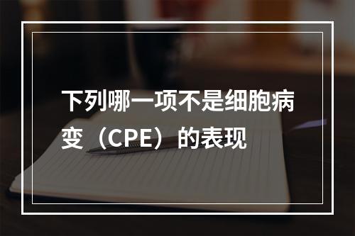 下列哪一项不是细胞病变（CPE）的表现