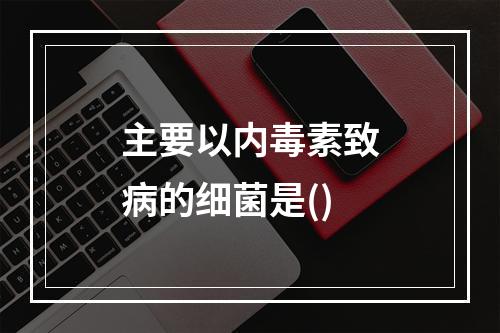 主要以内毒素致病的细菌是()