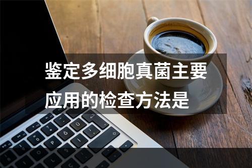 鉴定多细胞真菌主要应用的检查方法是