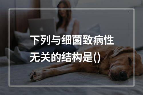 下列与细菌致病性无关的结构是()