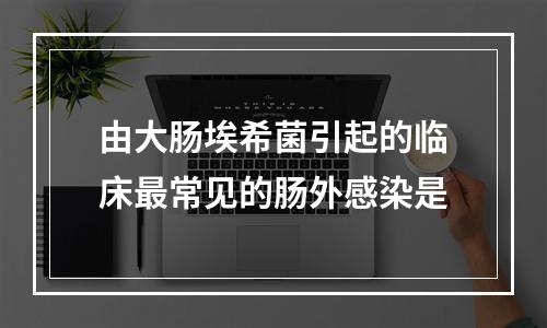 由大肠埃希菌引起的临床最常见的肠外感染是