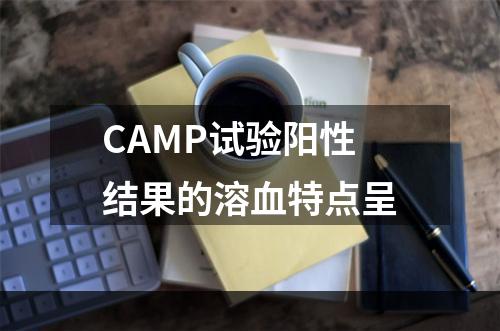 CAMP试验阳性结果的溶血特点呈