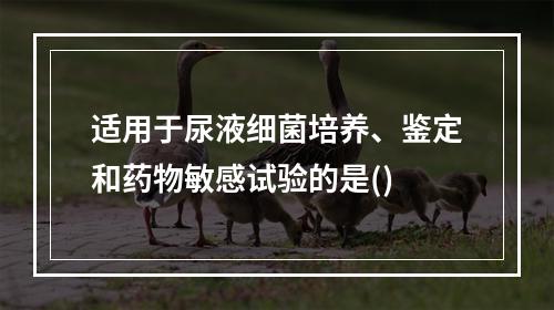 适用于尿液细菌培养、鉴定和药物敏感试验的是()