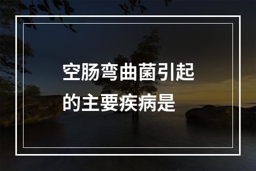 空肠弯曲菌引起的主要疾病是