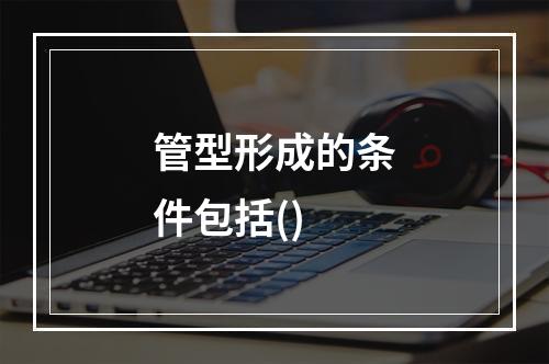 管型形成的条件包括()