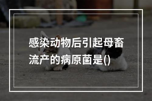 感染动物后引起母畜流产的病原菌是()