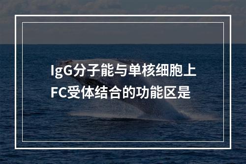 IgG分子能与单核细胞上FC受体结合的功能区是