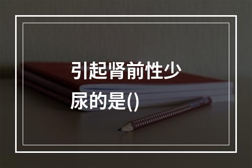 引起肾前性少尿的是()