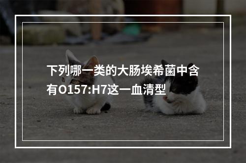 下列哪一类的大肠埃希菌中含有O157:H7这一血清型