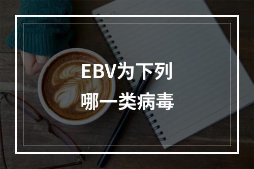 EBV为下列哪一类病毒