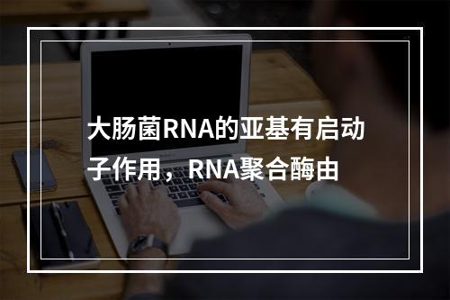 大肠菌RNA的亚基有启动子作用，RNA聚合酶由