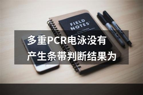 多重PCR电泳没有产生条带判断结果为