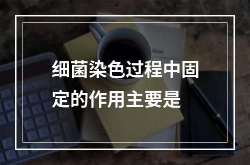 细菌染色过程中固定的作用主要是