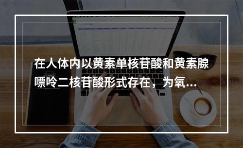 在人体内以黄素单核苷酸和黄素腺嘌呤二核苷酸形式存在，为氧化还