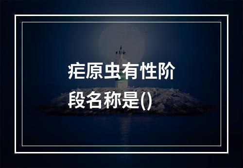 疟原虫有性阶段名称是()