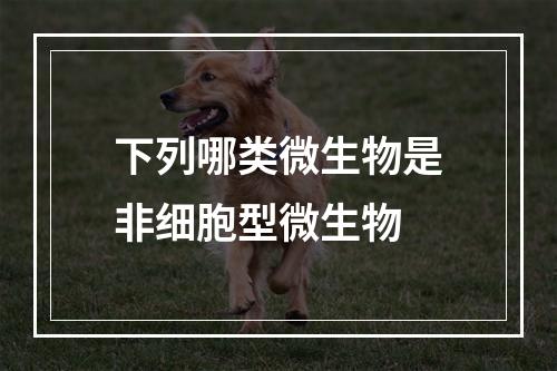 下列哪类微生物是非细胞型微生物