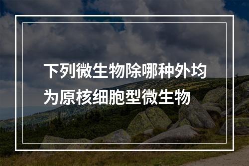 下列微生物除哪种外均为原核细胞型微生物