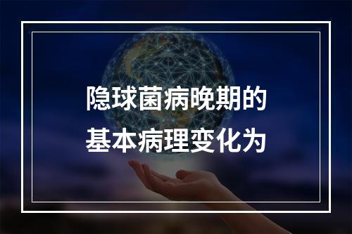 隐球菌病晚期的基本病理变化为